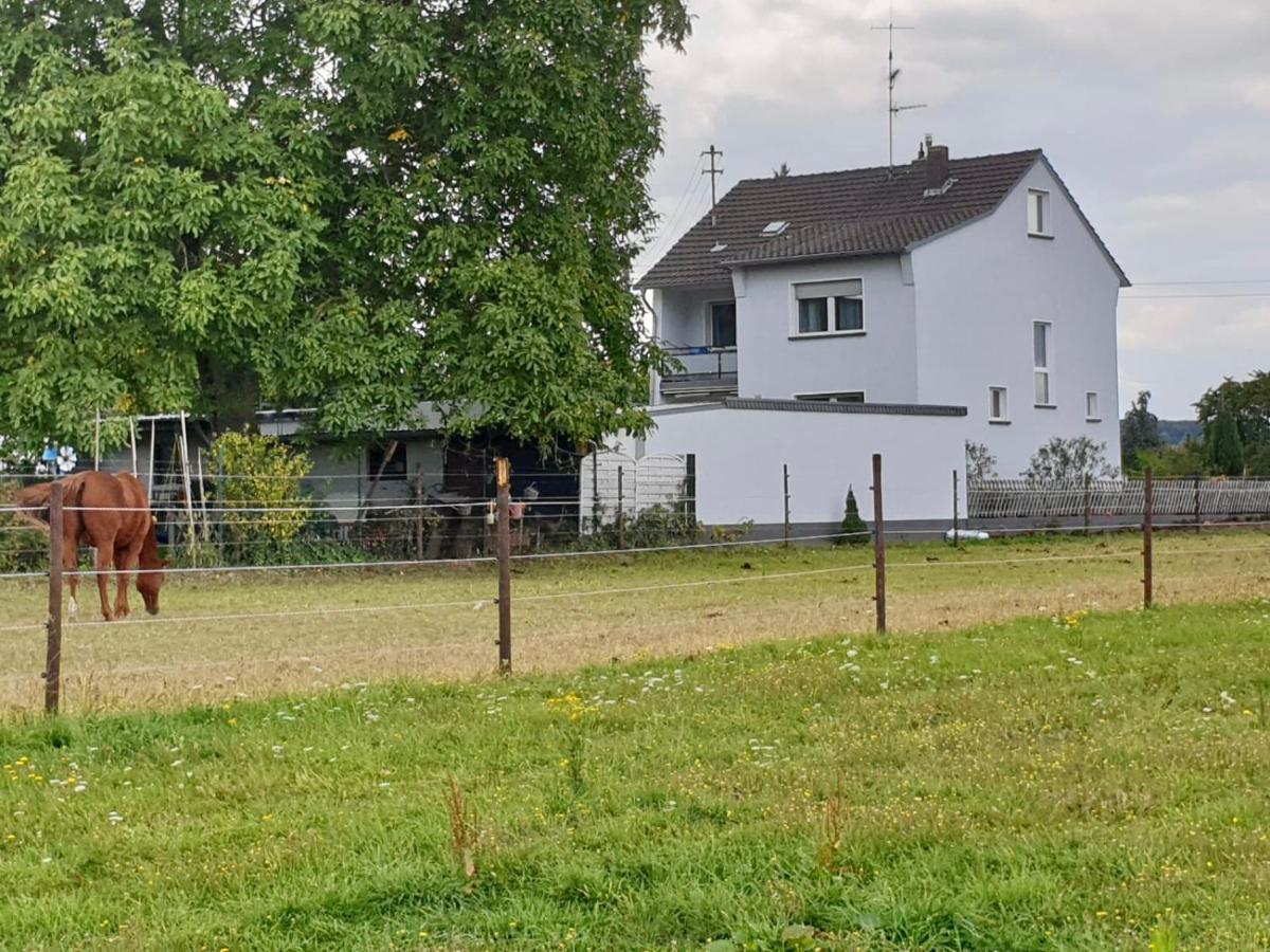 Haus Im Gruenen Villa Bornheim  Eksteriør billede