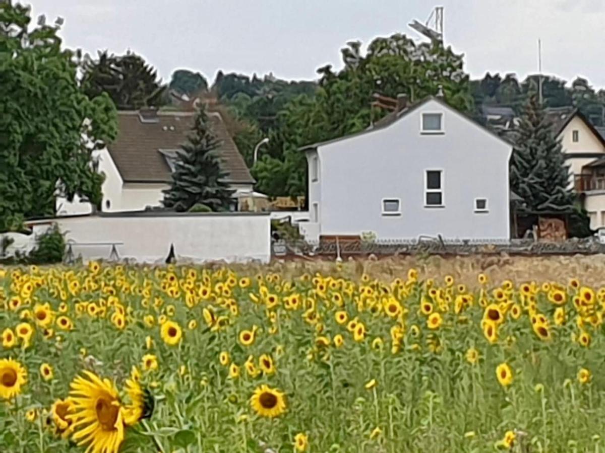 Haus Im Gruenen Villa Bornheim  Eksteriør billede