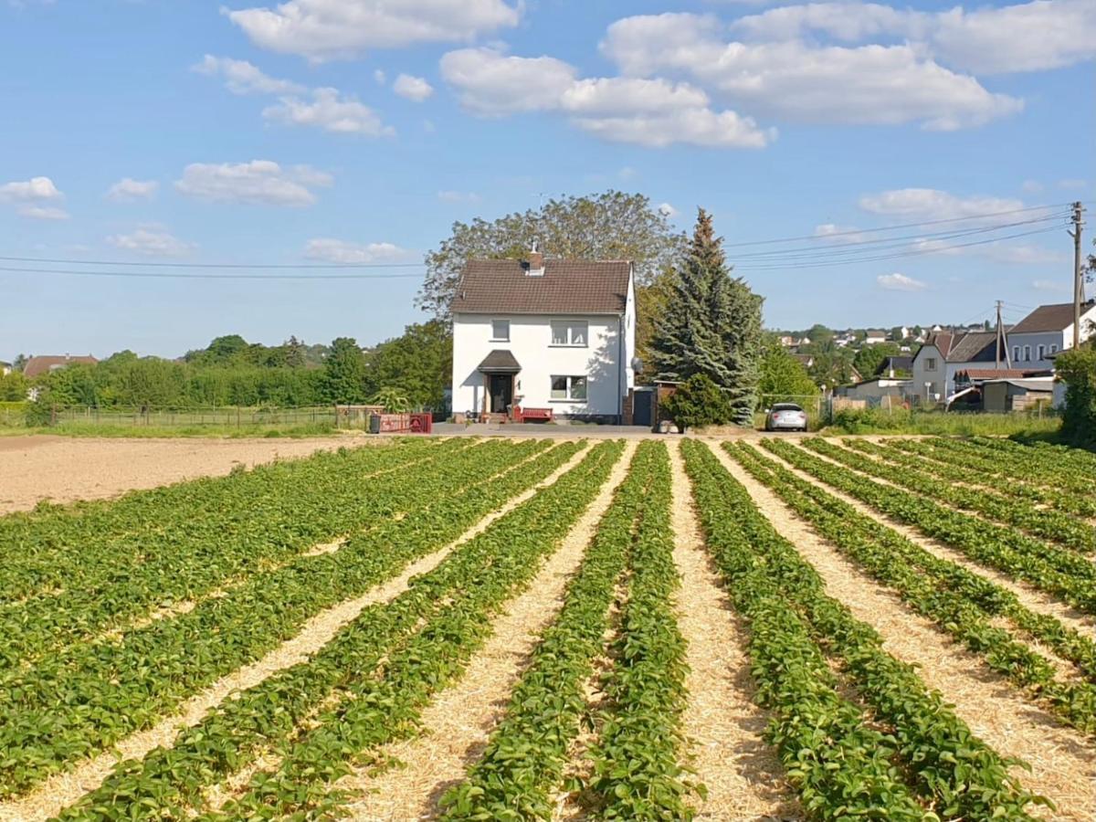 Haus Im Gruenen Villa Bornheim  Eksteriør billede